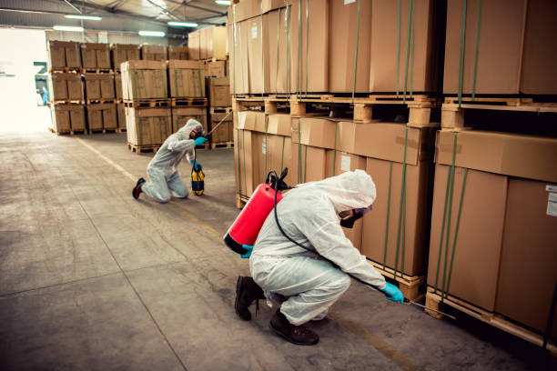 Best Pest Control Treatment  in Crugers, NY