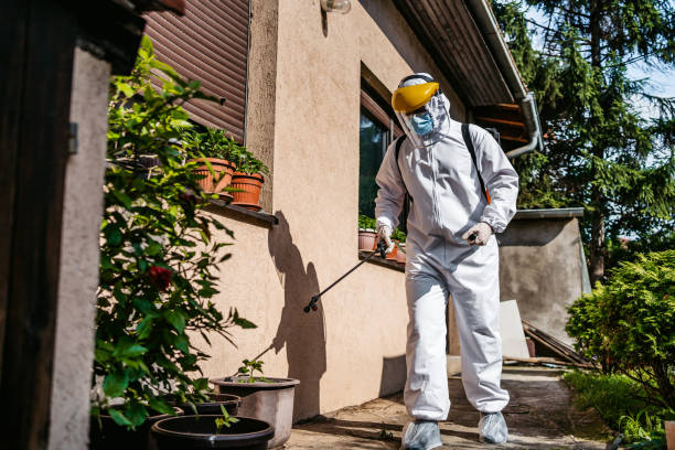Best Affordable Pest Control Services  in Crugers, NY