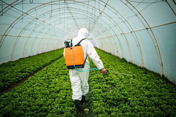 Best Pest Inspection Near Me  in Crugers, NY
