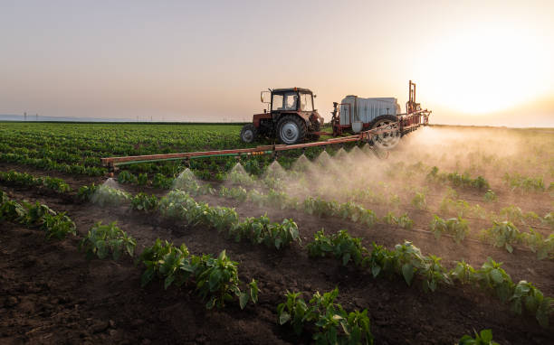 Best Pest Removal Services  in Crugers, NY