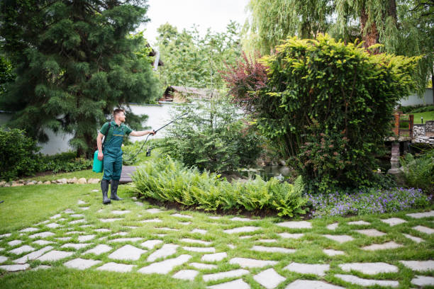 Trusted Crugers, NY Pest Control Experts