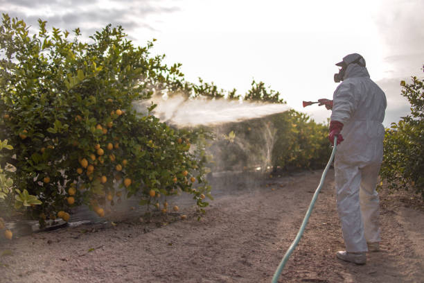 Best Commercial Pest Control Services  in Crugers, NY