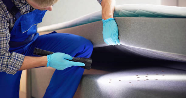 Best Termite Control Services  in Crugers, NY