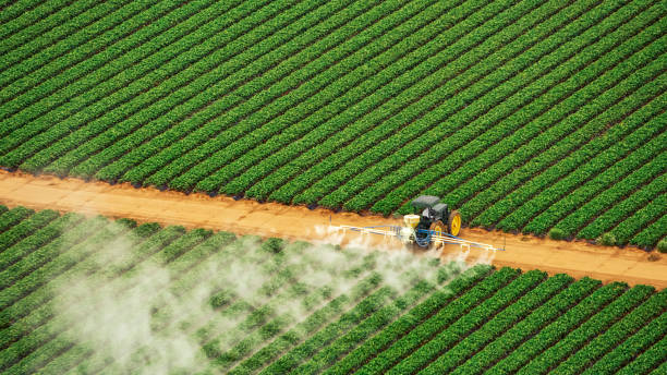 Best Pest Control Cost  in Crugers, NY