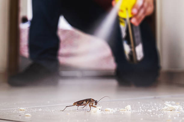 Professional Pest Control in Crugers, NY