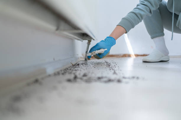 Pest Control for Restaurants in Crugers, NY